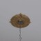 Ekena Millwork Attica PVC Ceiling Medallion (Fits Canopies up to 5"), Bright Coat Gold, 13"OD x 3 1/2"ID x 3/4"P CMP13ATBGL - alternate 8